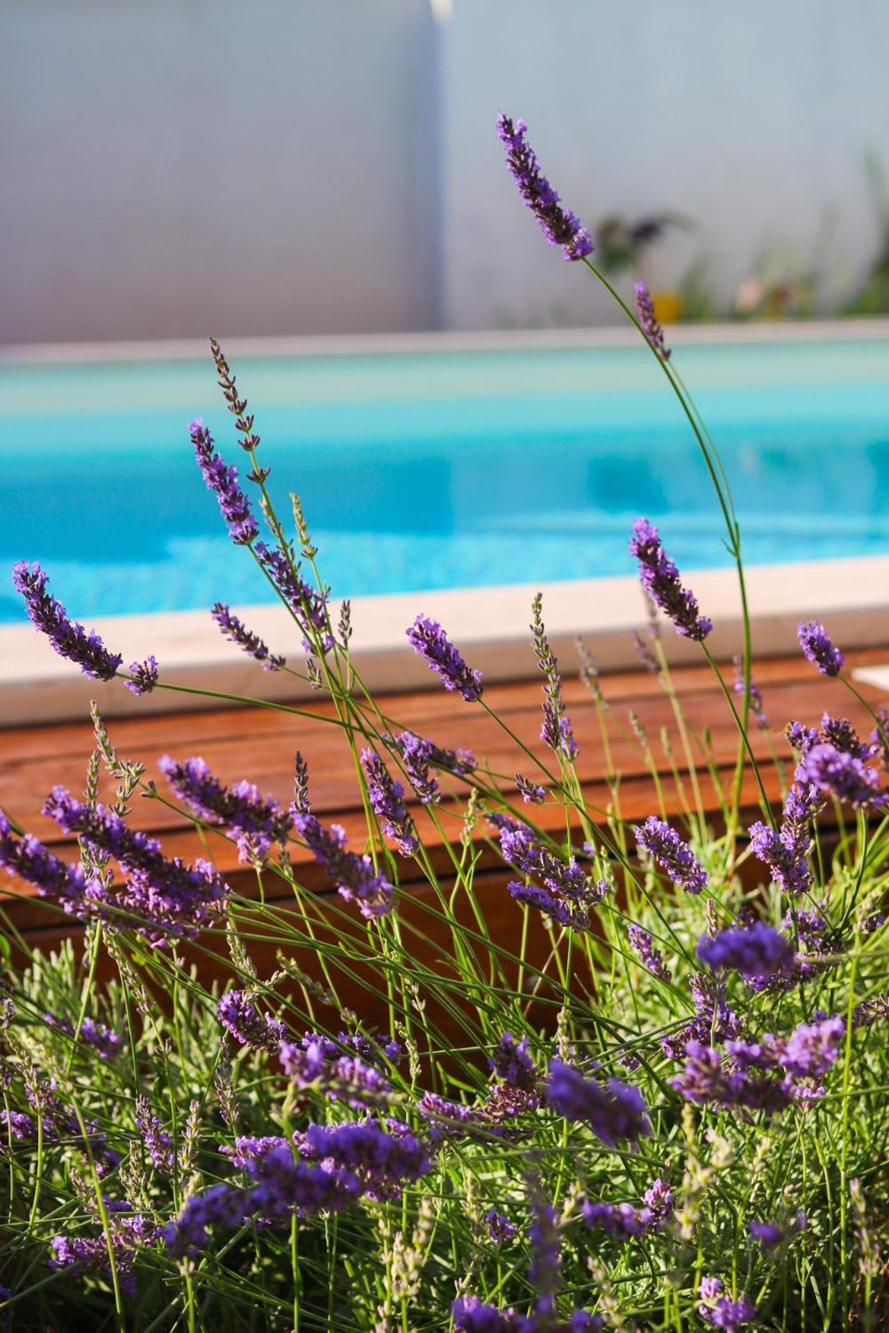 Villa My Rose With A Private Pool Mlini Exterior foto